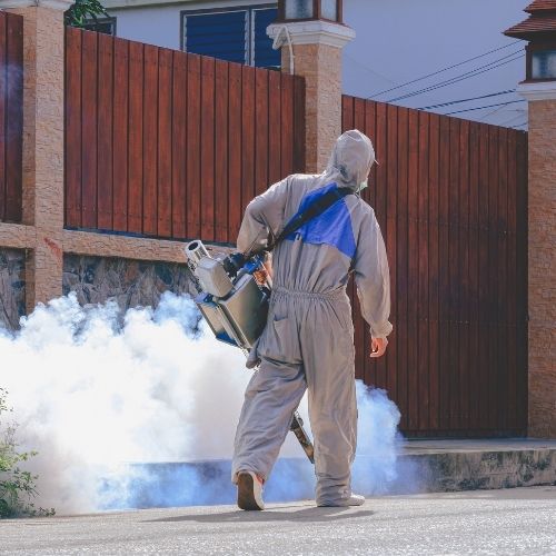 Tratamiento de áreas donde se refugian arañas